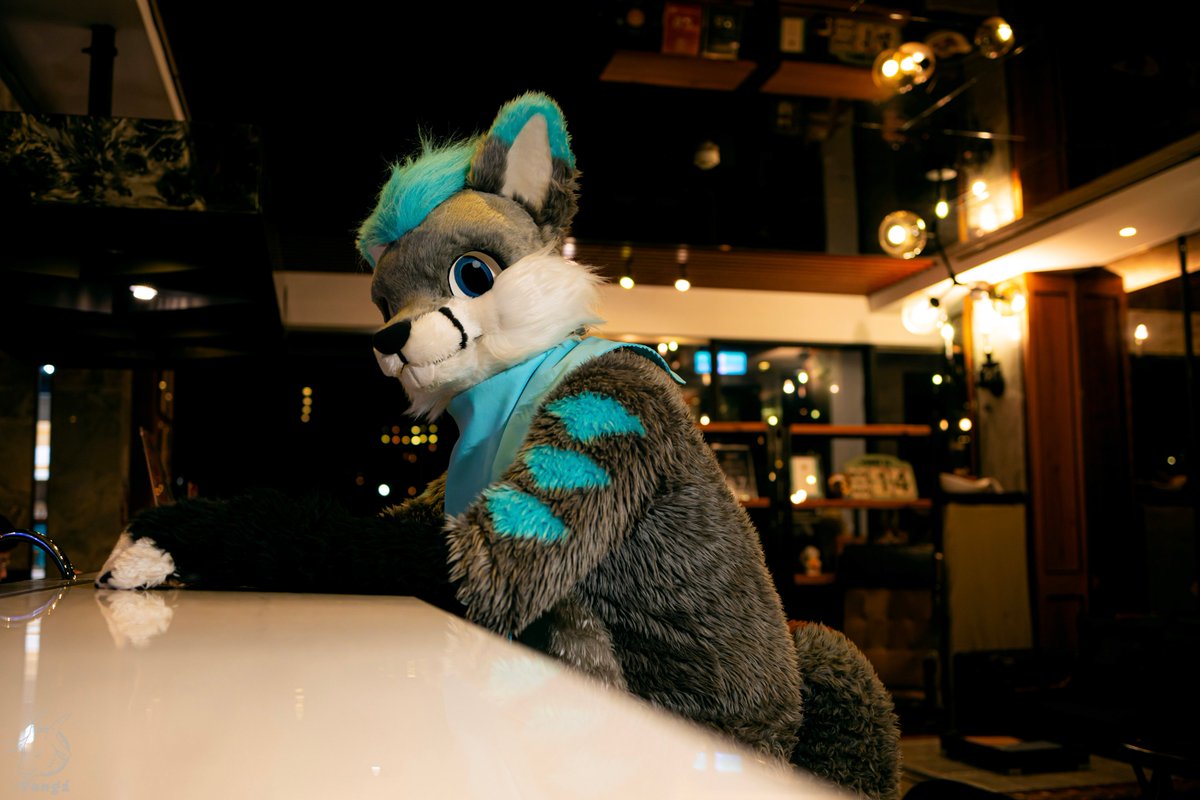 📷: <a href="/goat83262/">Yangi</a>

✂️: <a href="/DRAGONGO02/">Dragon X2 (台灣)⏩ FURUM</a>

#FursuitFriday #MountainPineTW