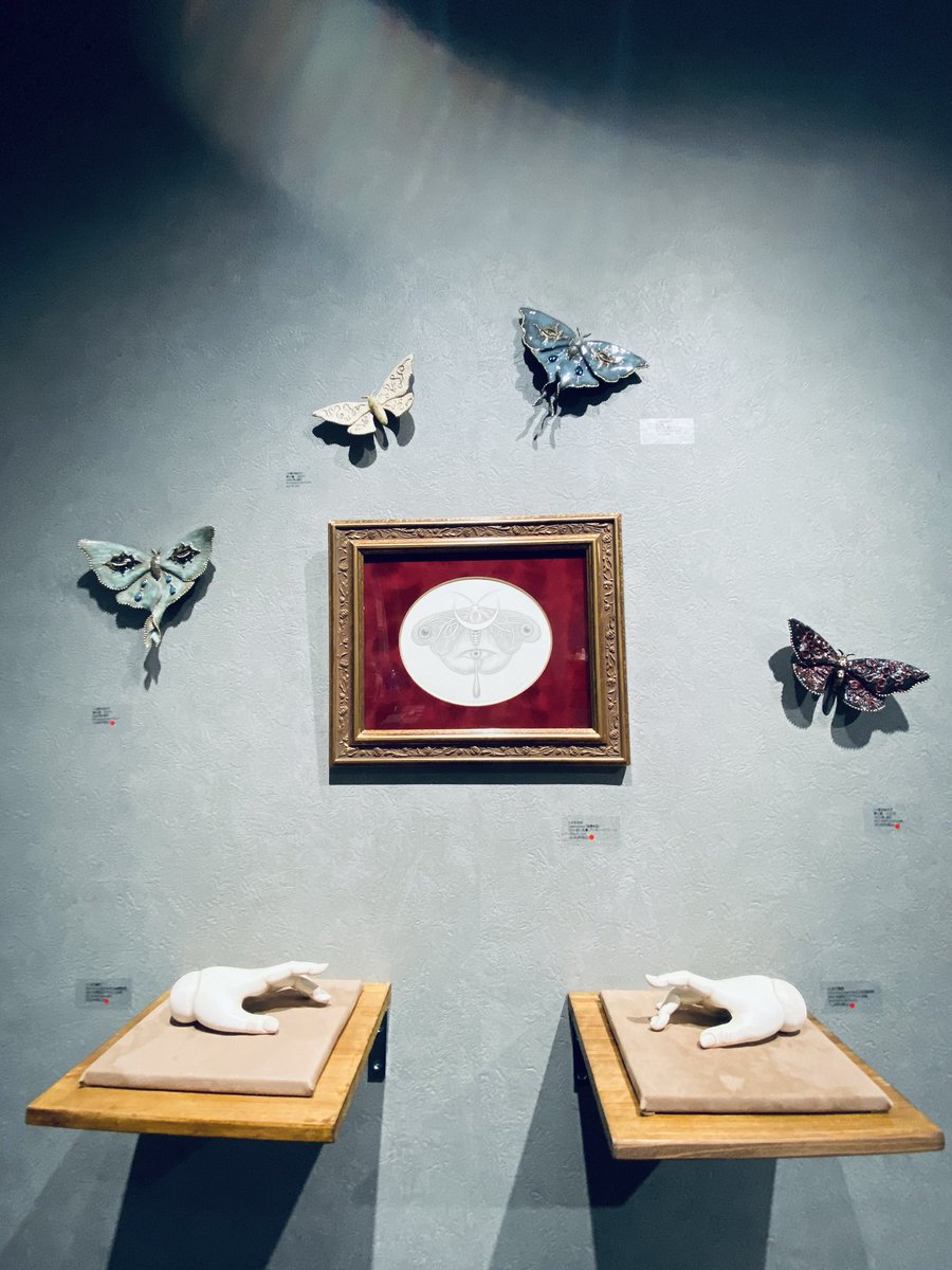 夜桜の掛け軸 夜桜の掛け軸 Amazon.co.jp: 10年保証 掛け軸 ミニ掛け軸 和風