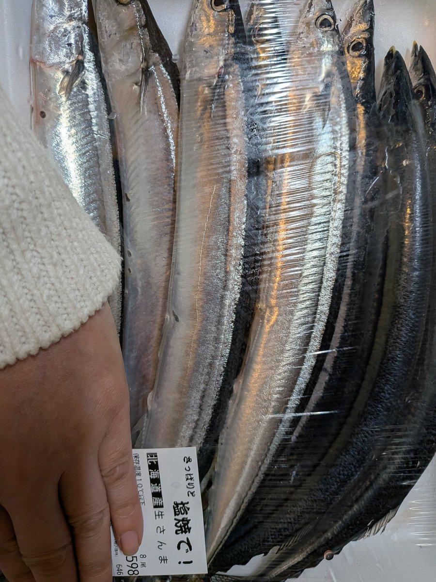 マスノスケ 11枚 のんの on X