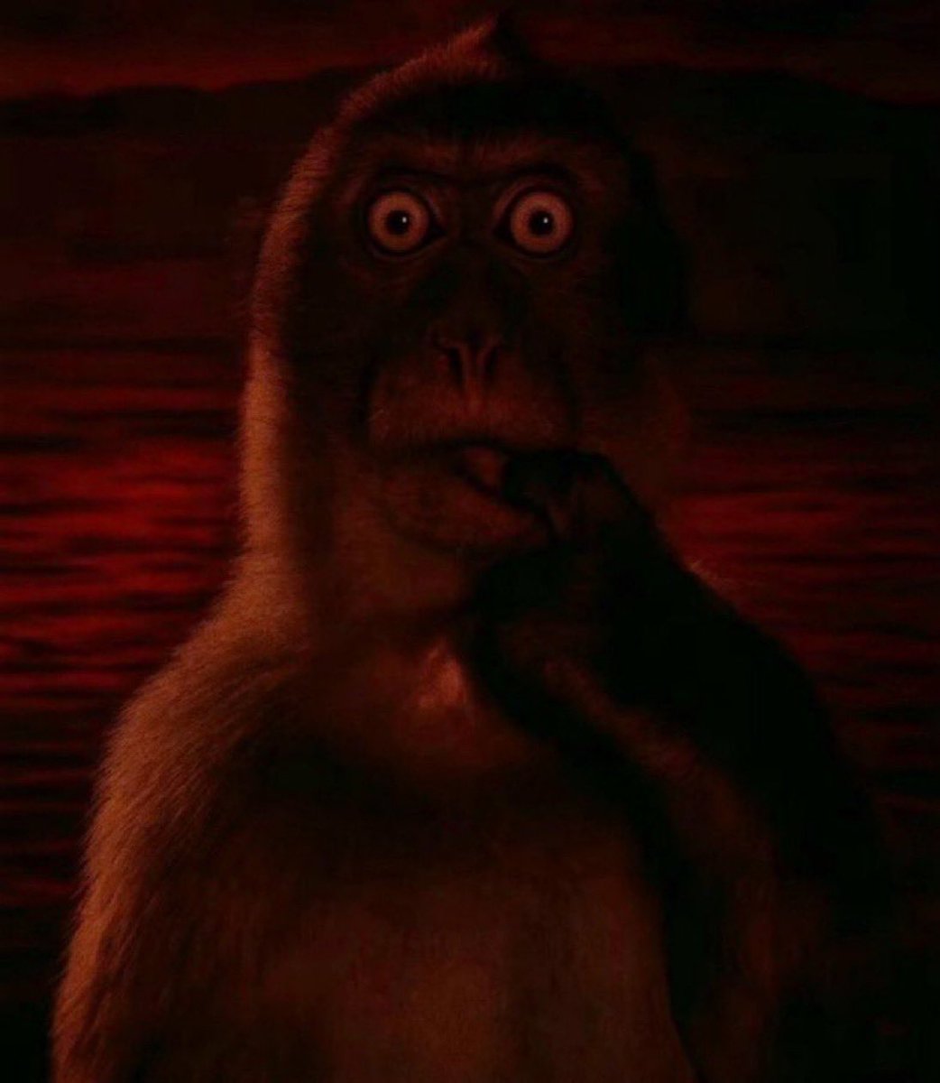 Youtube: PuspoTV 🇵🇸 (@adhipenegoro) on Twitter photo 