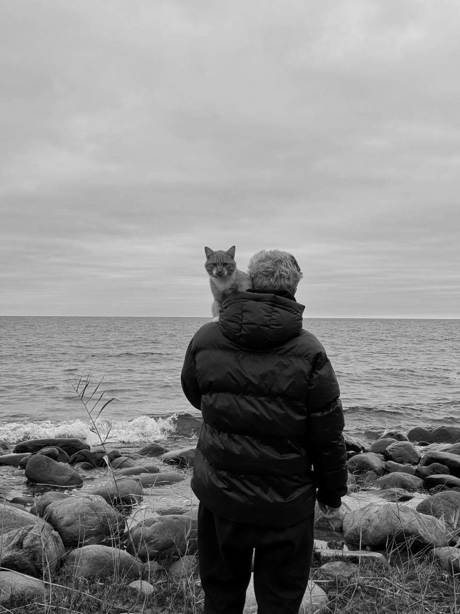 ㅤ
сегодня открыв глаза
я не нашел тебя

и не нашел причин
что бы искать вообще.