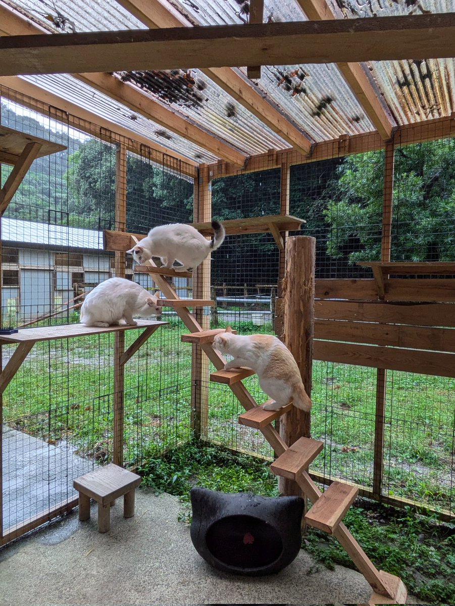 土佐黒潮牧場 on X