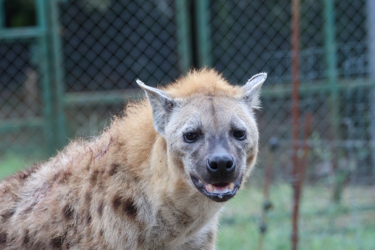 ryuページです⭐︎ Ryu] L-Zip BOX (S) WALLET | Ryu(リュウ)公式ECサイト／Wath'z