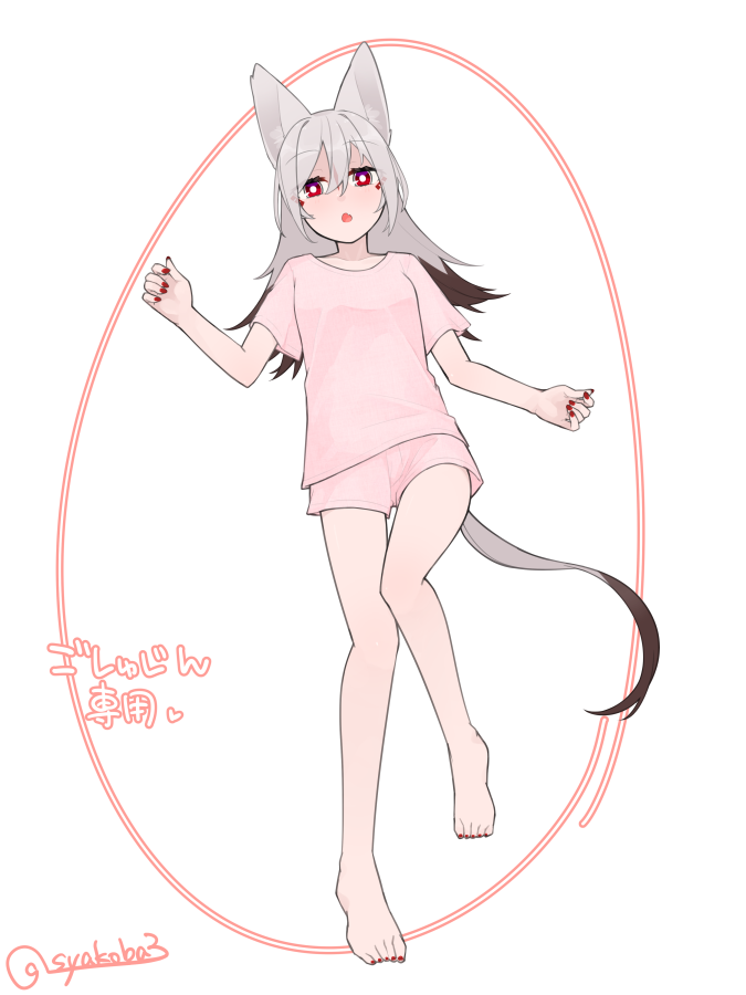 アカシャのおさわりマップ #akashalog 