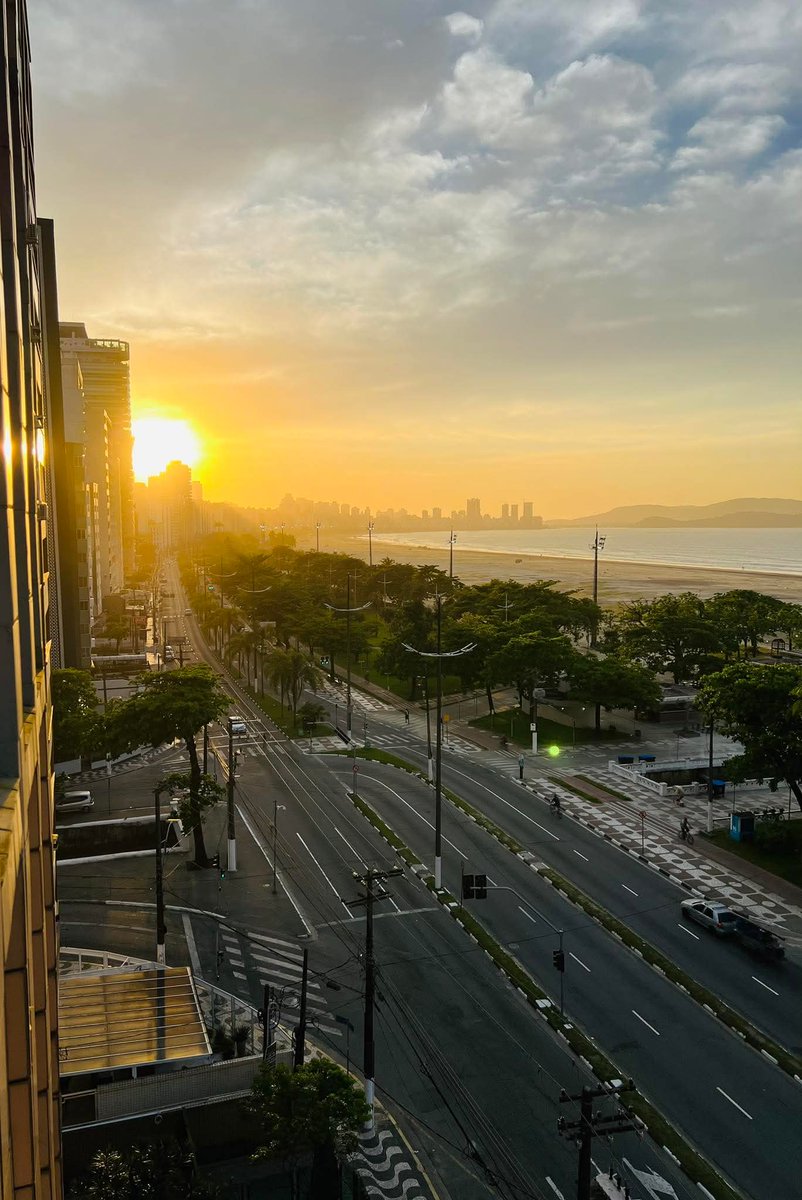 MariaNi27510367's tweet image. Bom dia! 💚🌻🕊🙂