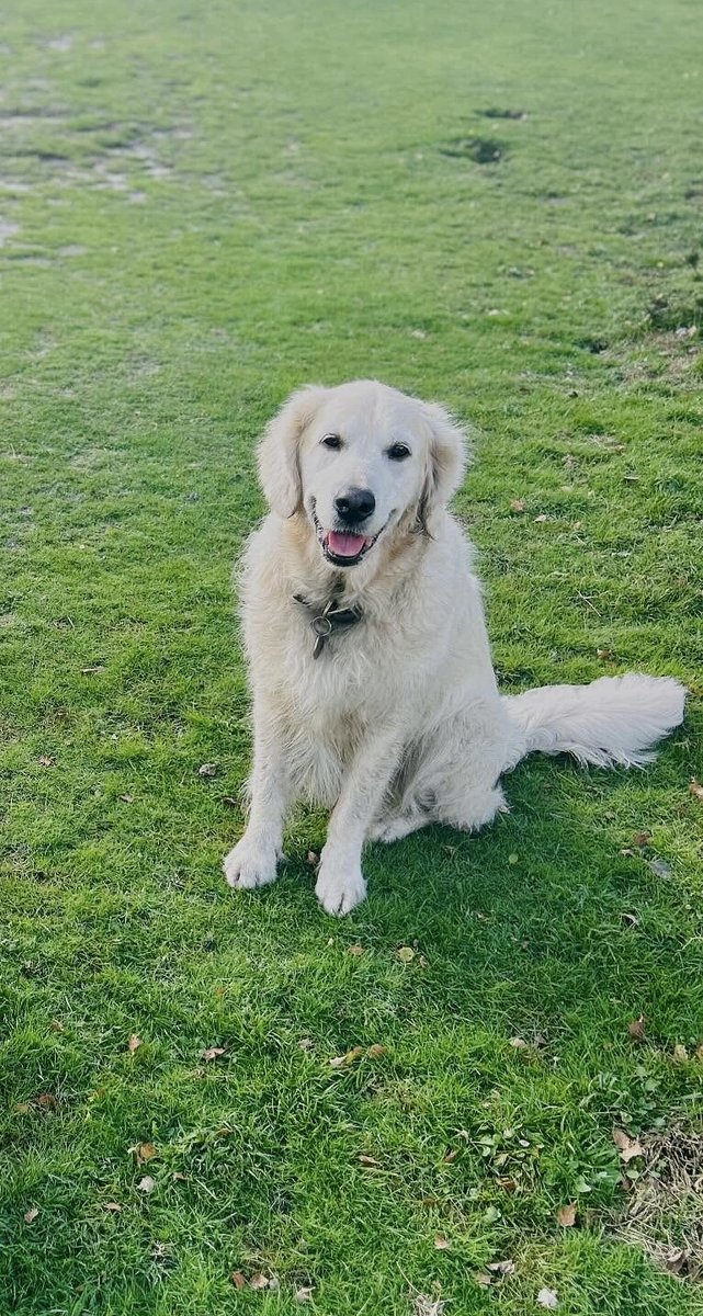 Anne Brown🥂 tweet media