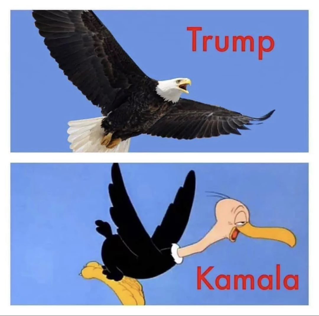 attackdogX's tweet image. 