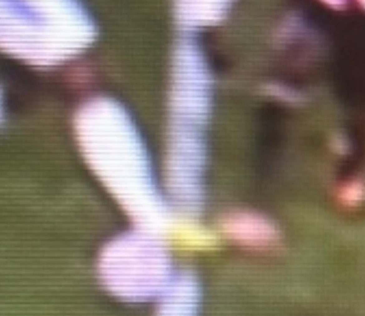 We were shite yesterday and probably deserved to lose, but this being given as a pen is mad. How’s this a clear and obvious error to give a free-kick!? 😂