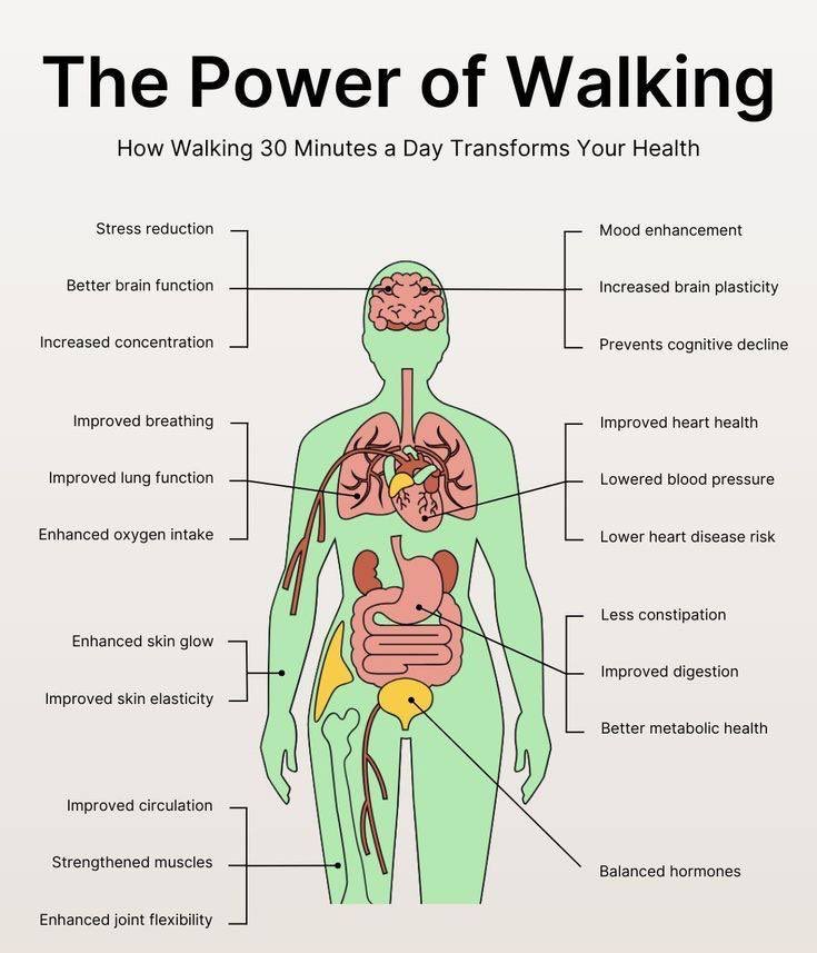 The Power Of Walking🚶🏻‍♀️