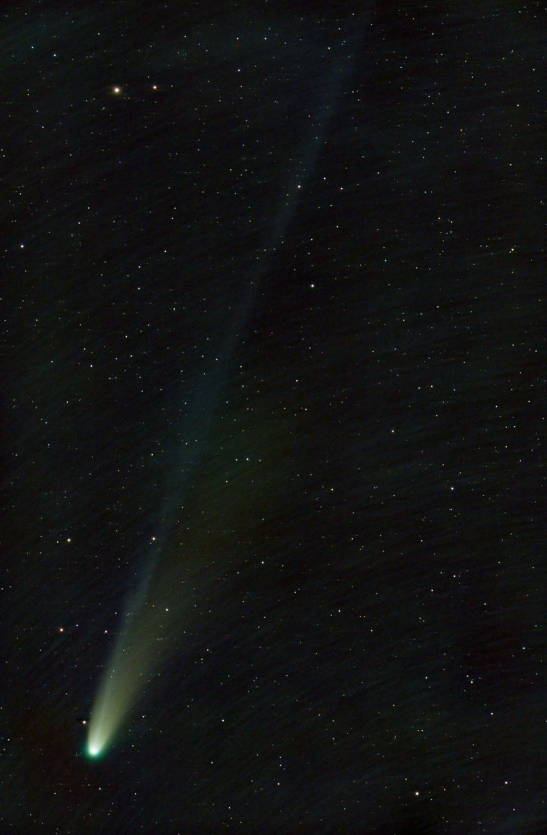 ⭐︎ページ 9月26日順次発売｜CONVERSE × SHINYAKOZUKA 