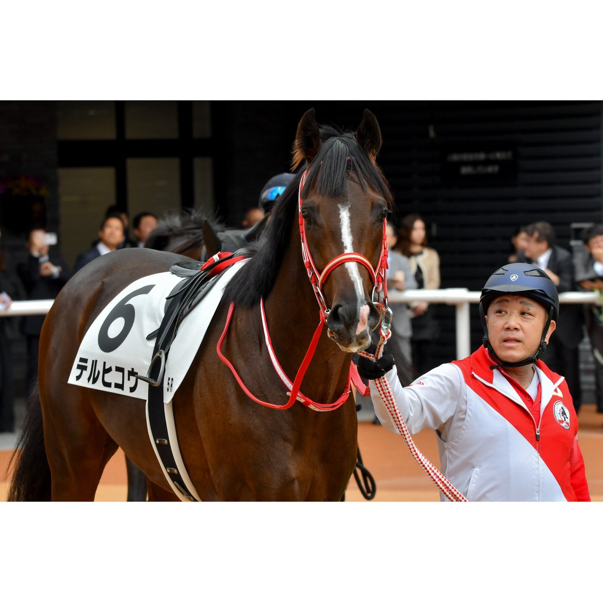 umayama3's tweet image. 💫💫Victory💫💫
2025.10.26  5R新馬@京都競馬場
テルヒコウ 坂井瑠星騎手(🥇着/3番人気)
逃げて直線も後続を寄せ付けず2馬身半差の快勝でした!
やっぱり矢作厩舎×コントレイル産駒での勝利は格別ですね!
今日の2勝目で今年の99勝目おめでとうございます🙌
#2025ryusei