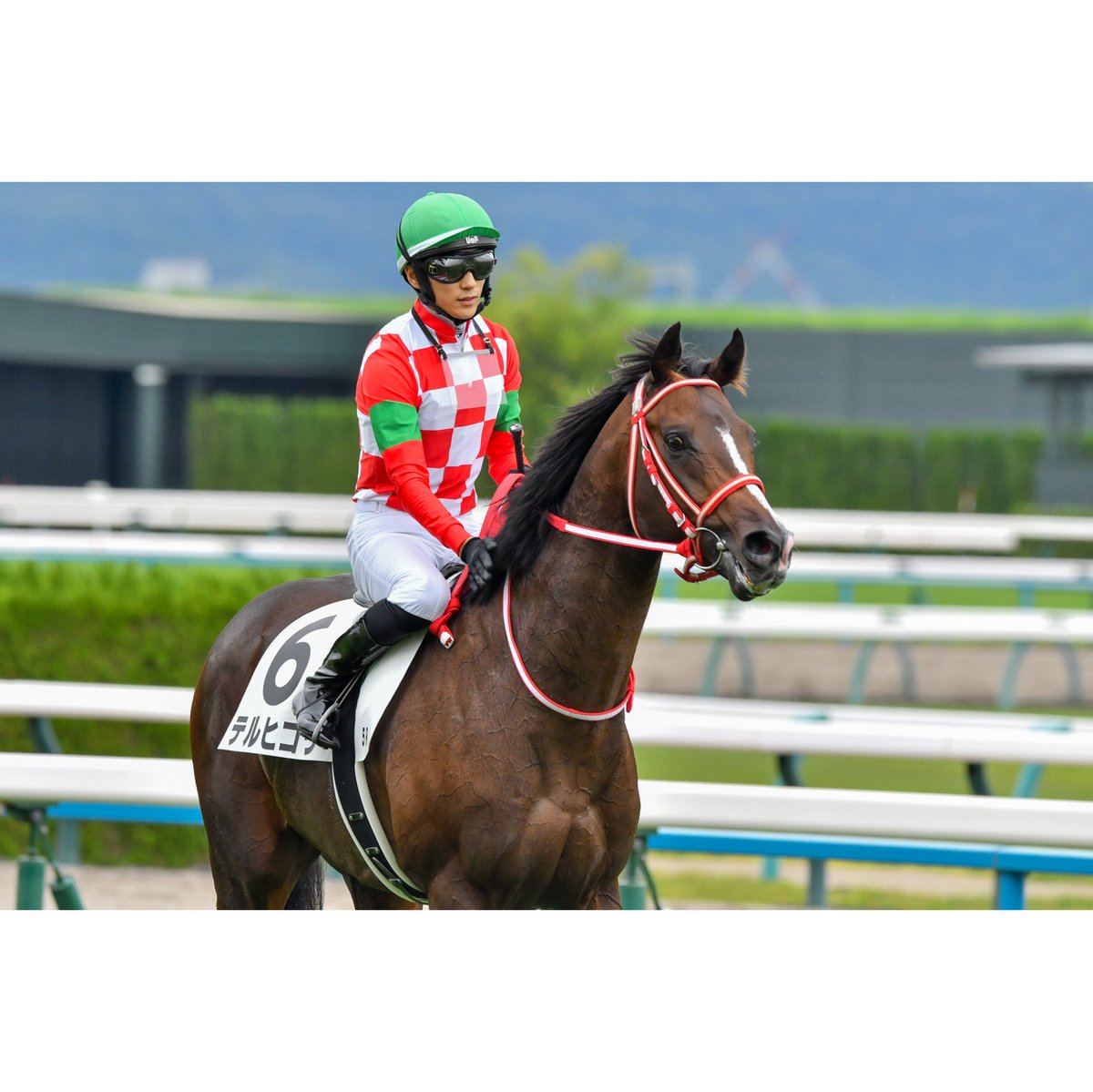 umayama3's tweet image. 💫💫Victory💫💫
2025.10.26  5R新馬@京都競馬場
テルヒコウ 坂井瑠星騎手(🥇着/3番人気)
逃げて直線も後続を寄せ付けず2馬身半差の快勝でした!
やっぱり矢作厩舎×コントレイル産駒での勝利は格別ですね!
今日の2勝目で今年の99勝目おめでとうございます🙌
#2025ryusei