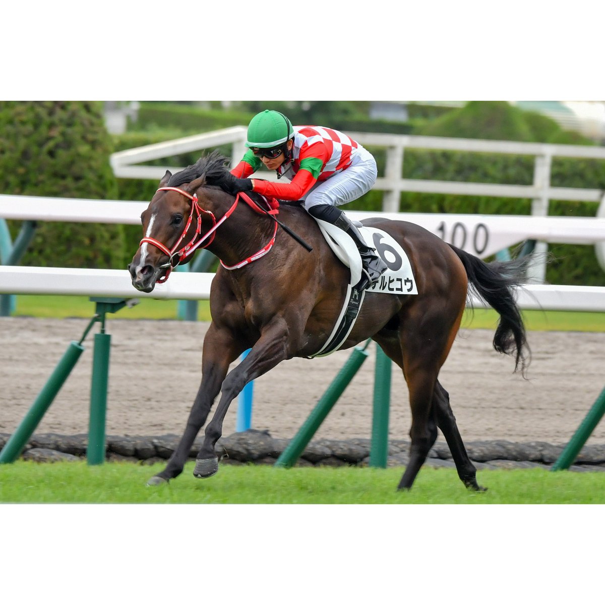 umayama3's tweet image. 💫💫Victory💫💫
2025.10.26  5R新馬@京都競馬場
テルヒコウ 坂井瑠星騎手(🥇着/3番人気)
逃げて直線も後続を寄せ付けず2馬身半差の快勝でした!
やっぱり矢作厩舎×コントレイル産駒での勝利は格別ですね!
今日の2勝目で今年の99勝目おめでとうございます🙌
#2025ryusei