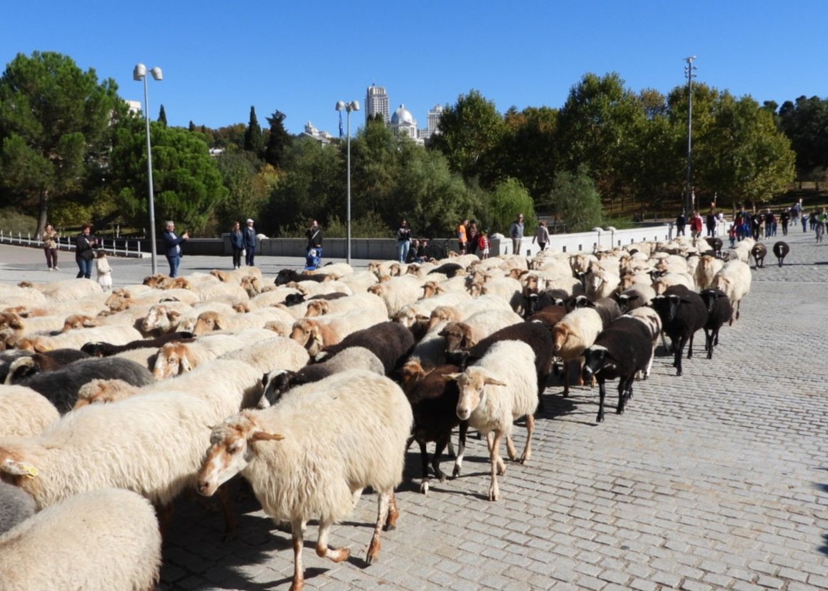 Foto cedida por Ecologistas en Acción