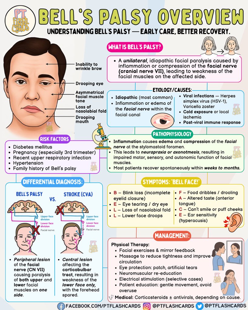 PT flashcards tweet media