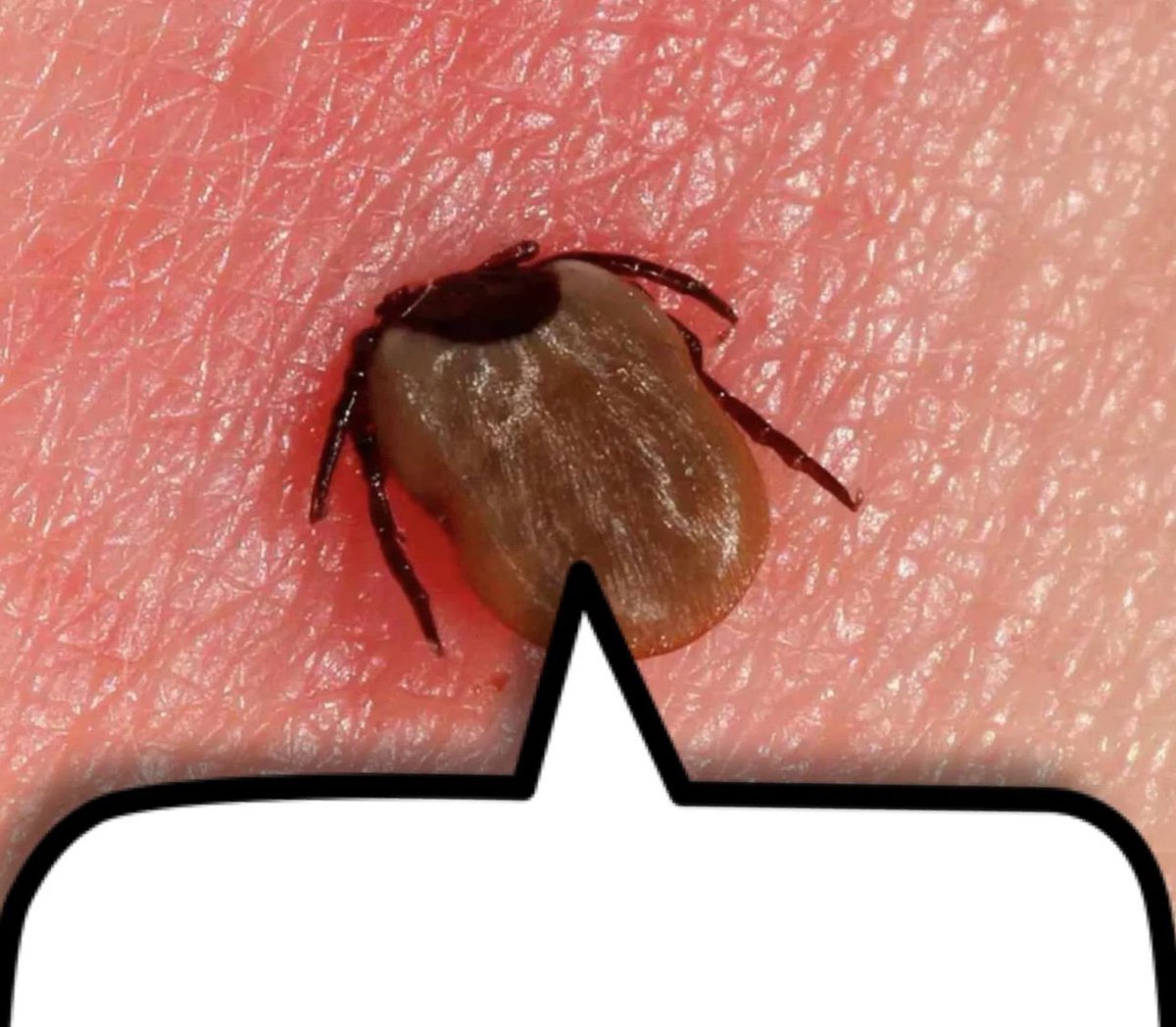 SimonDevelop 🐍✝️ (@simonfreedev) on Twitter photo 