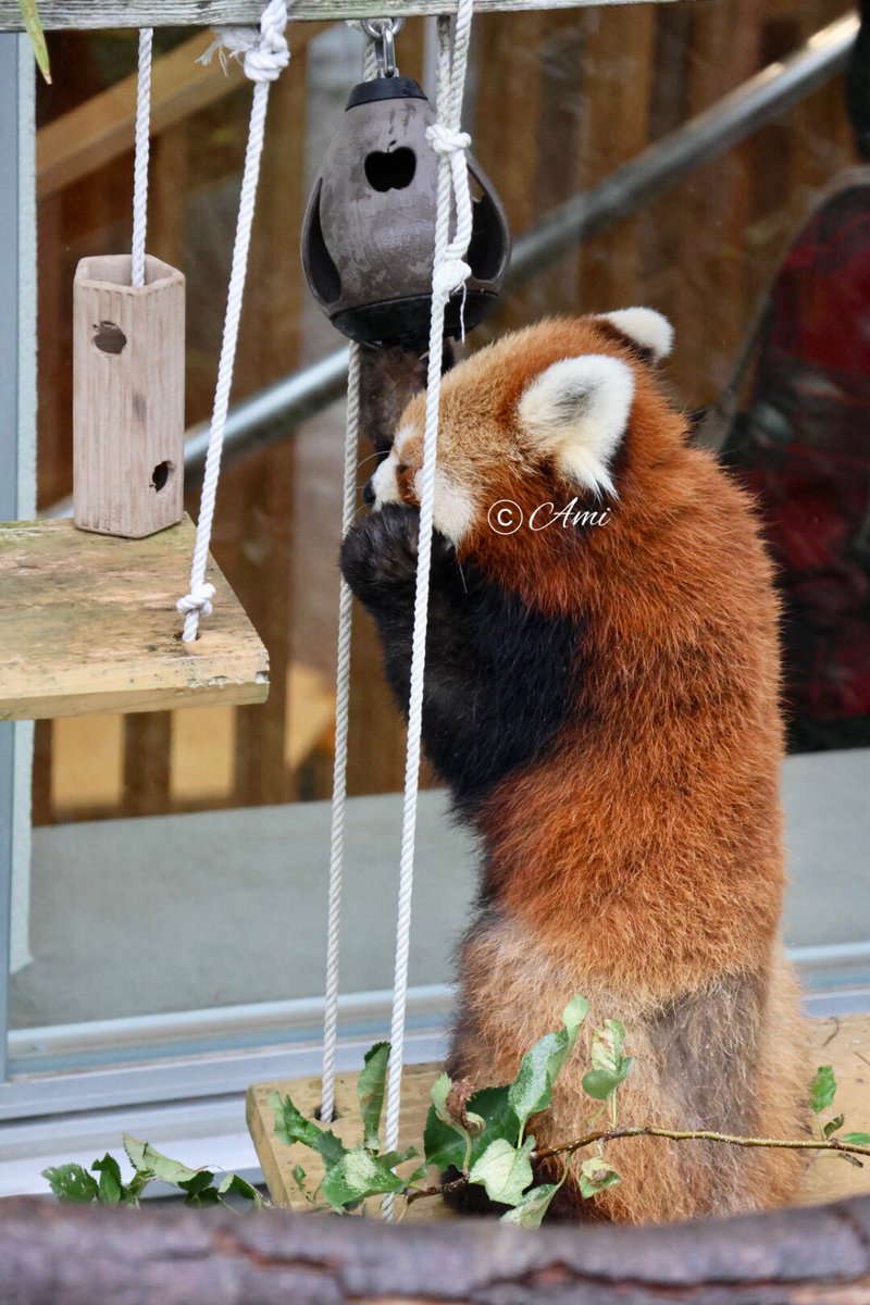 ami♡*°ページ amiチャンネル - YouTube