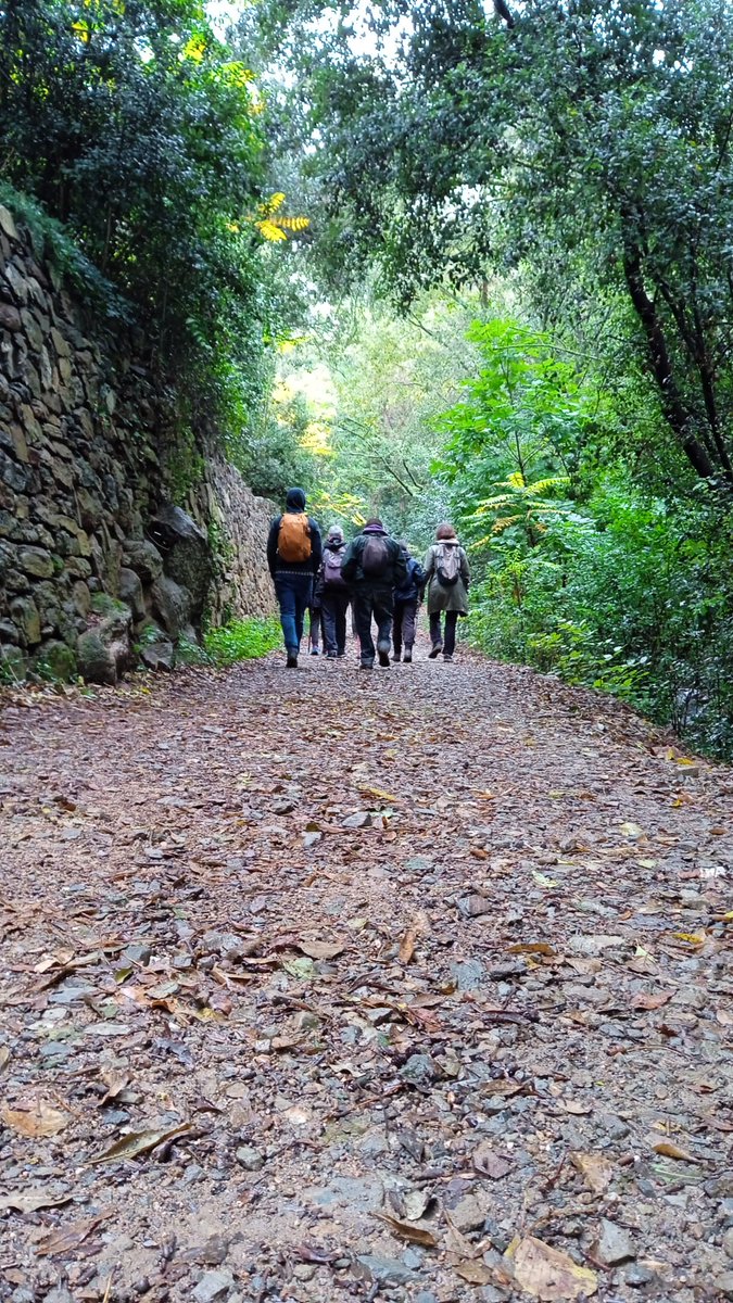 foradcamp tweet media