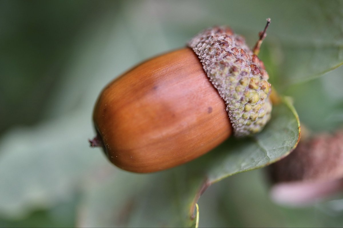 Edel Mairs tweet media