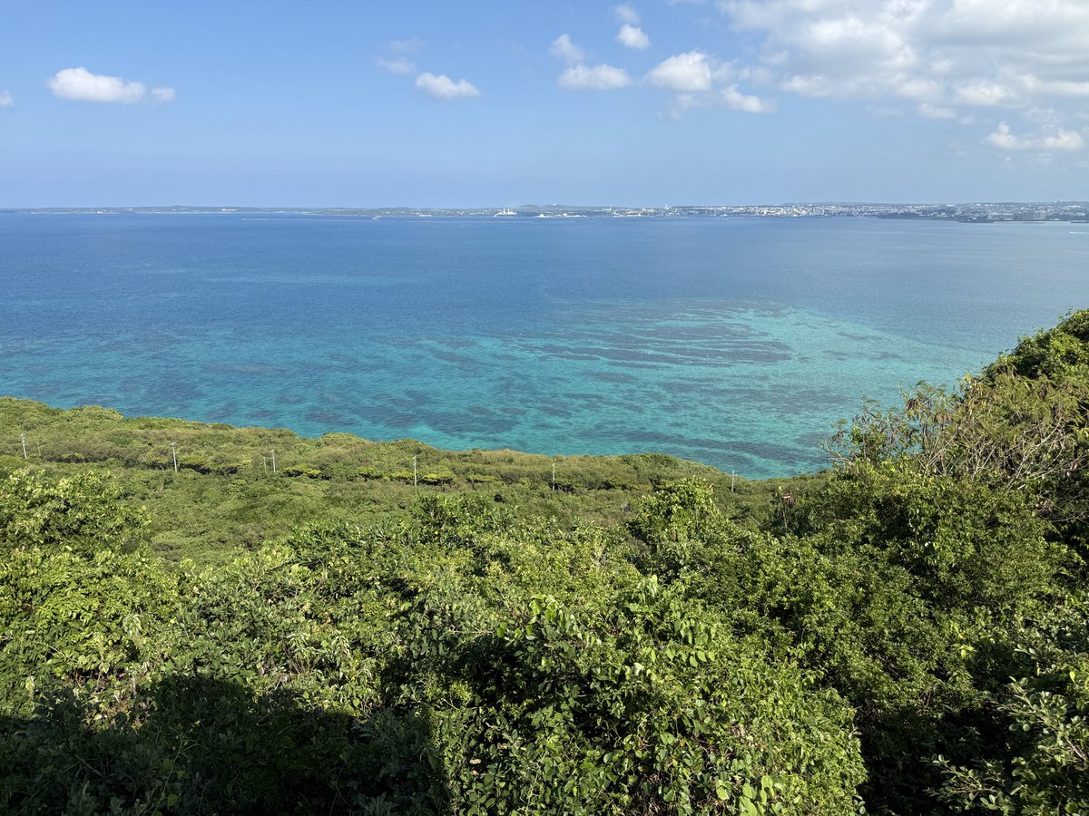 希少　深海松　青珊瑚　風鎮 希少 深海松 青珊瑚 風鎮 希少 深海松 青珊瑚 風鎮 希少 深海松 青