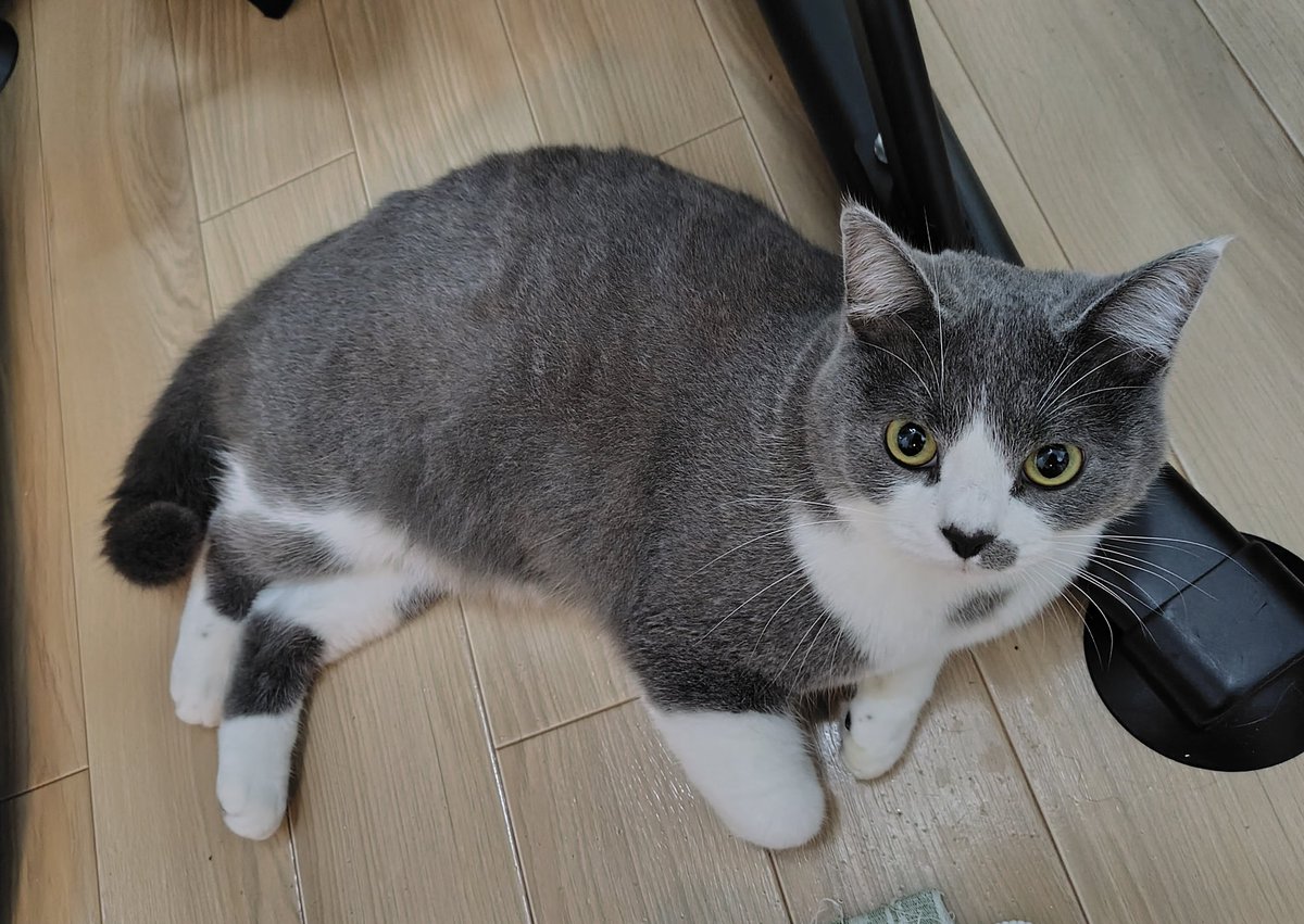 寒くなると短足になる😂