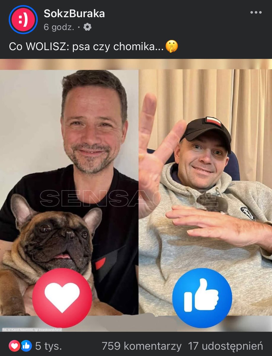 jachcy🇵🇱 tweet media