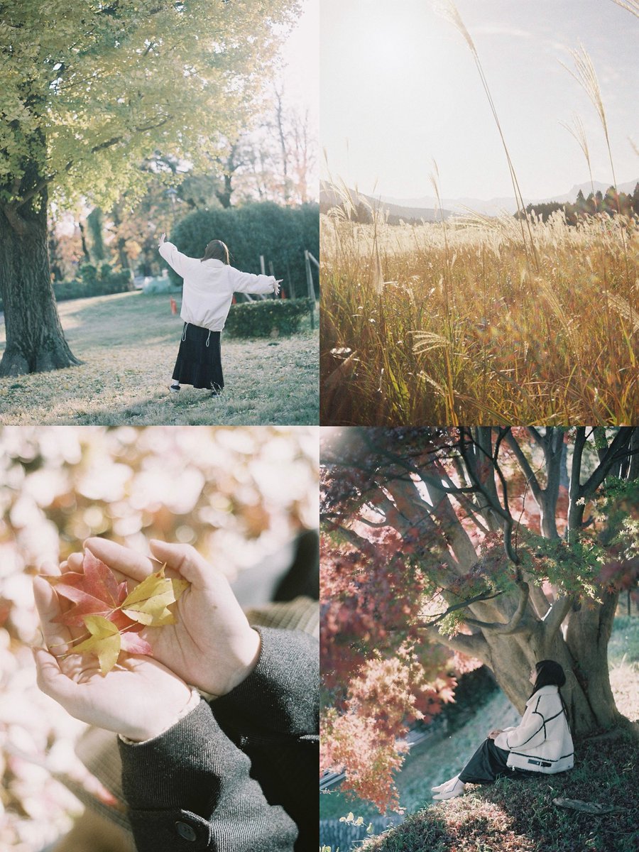 フィルムで残す秋