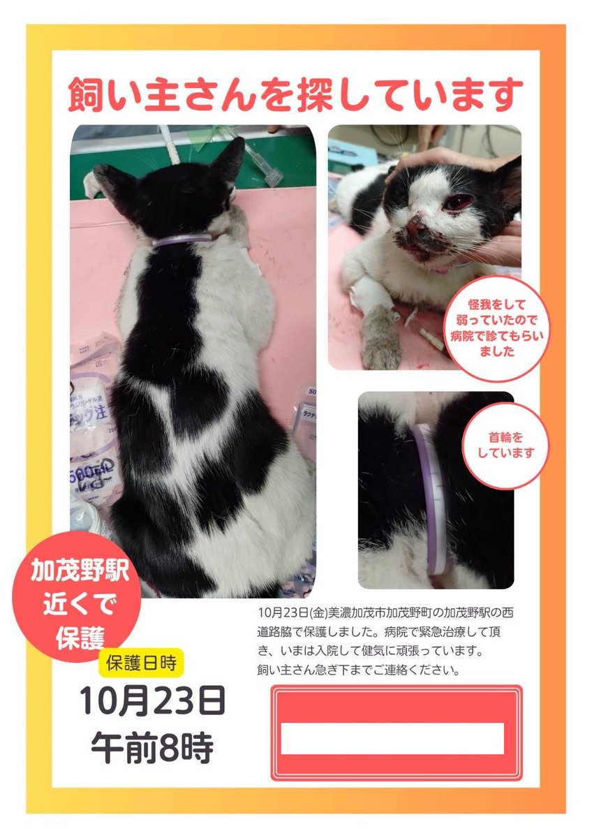 blue＊bird様 orderページ☽⋰ Stream Ikimonogakari - Blue Bird (Krusen Remix) V2 | Naruto