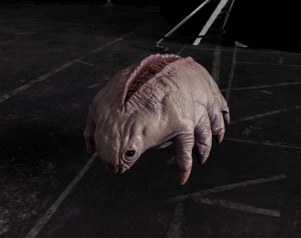 Adam Dewhirst tweet media