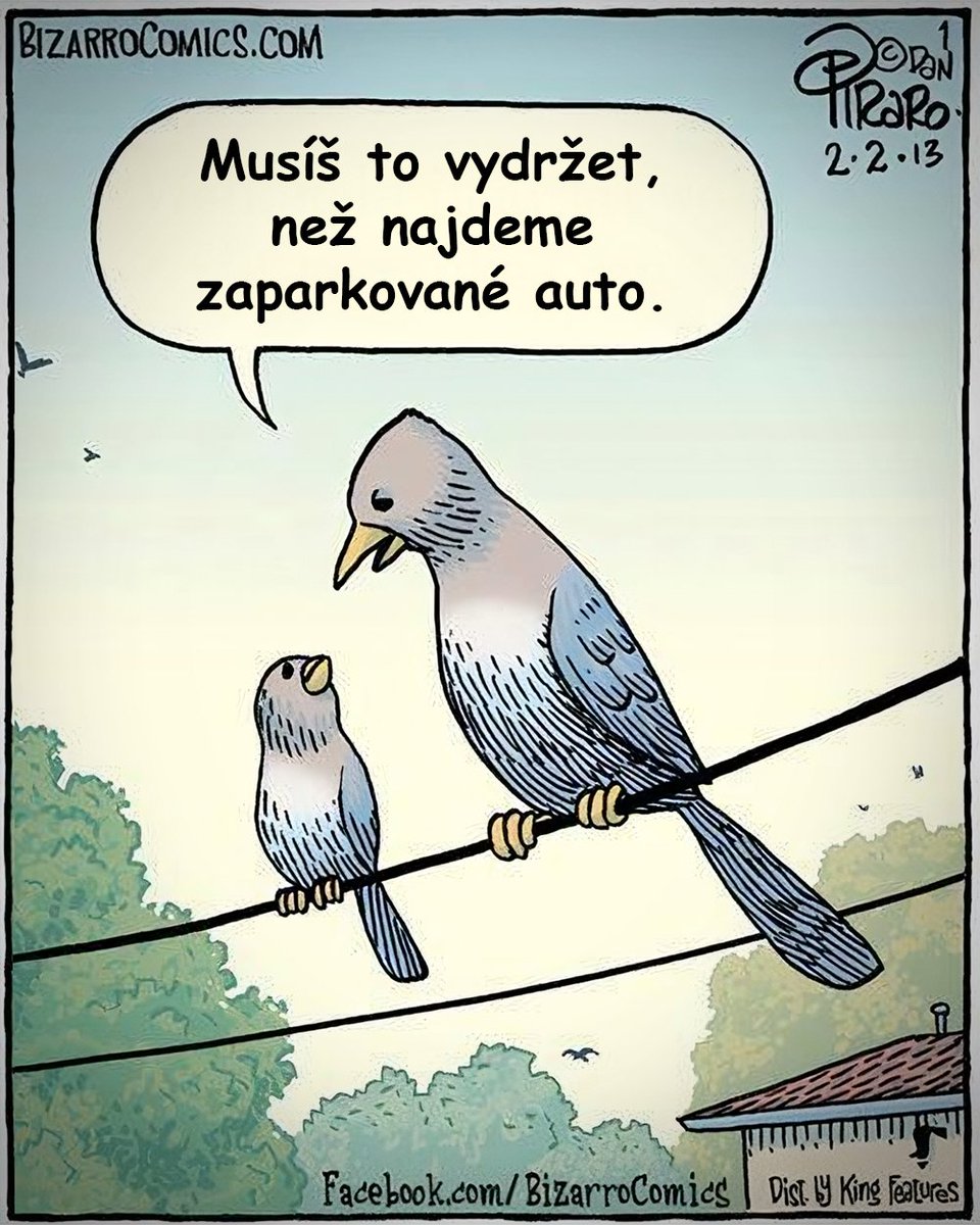Vedator5's tweet photo. 💩 Některá auta skutečně PŘITAHUJÍ PTAČÍ BOBKY víc než jiná – naznačuje to aspoň nevědecký průzkum… 🚗
#novinka
Víc hir ► https://t.co/JHiYARvH74
#biologie #ptaci #auta #houna https://t.co/HNl53Ofd1y