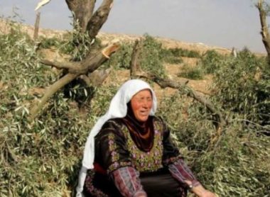 <a href="/CensoredHumans/">Censored Humans</a> Same shit different decade...