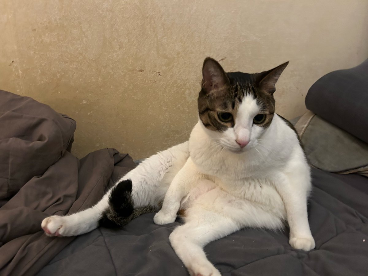 인생 니가 몬데