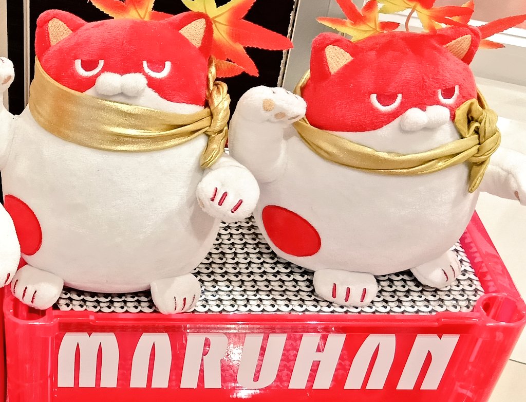 【エイリやん】マイジャグラー5 エイリやん】マイジャグラー5 エイリやん】マイジャグラー5 マイ