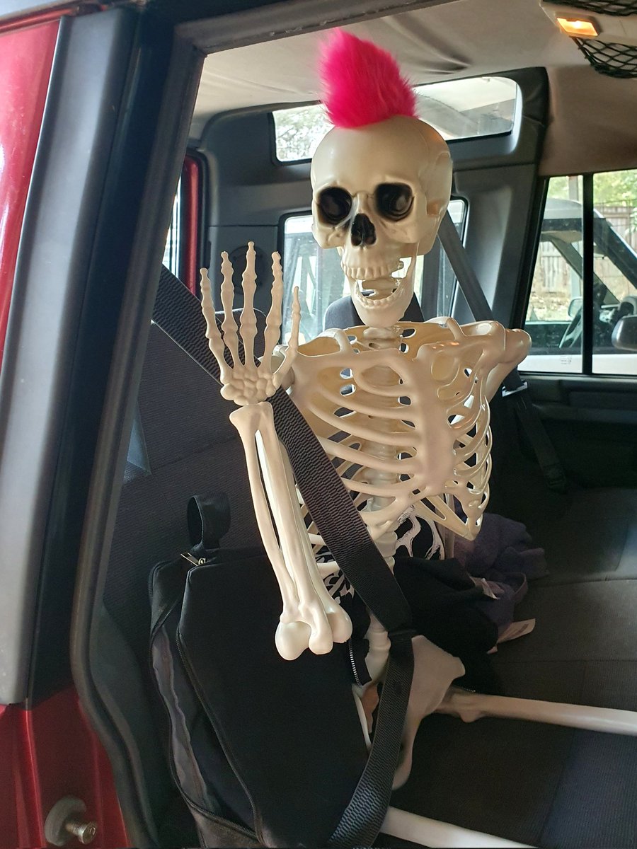 Maxx_Chee's tweet image. This is Randall. He lives in Bruce, my car.
Last night he made a couple scream laugh and take a photo as they passed us on the highway heading in to see Frankenstein