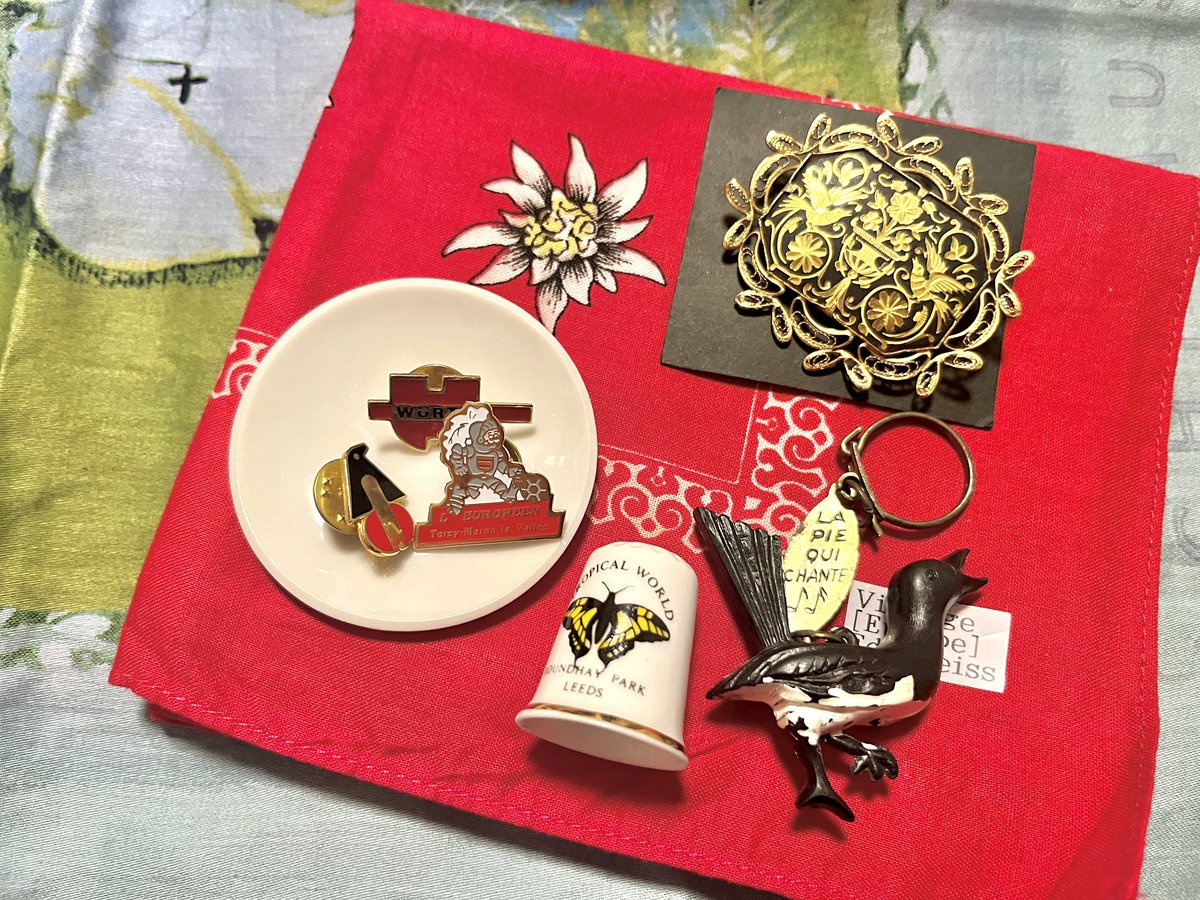 みぞたちか🐇 on X