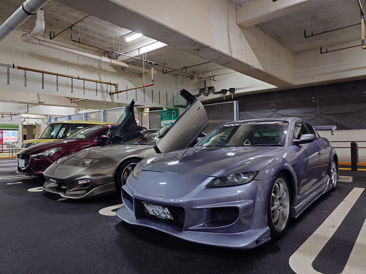 アフターペイン ラスカルはアライグマ(315馬力) on X