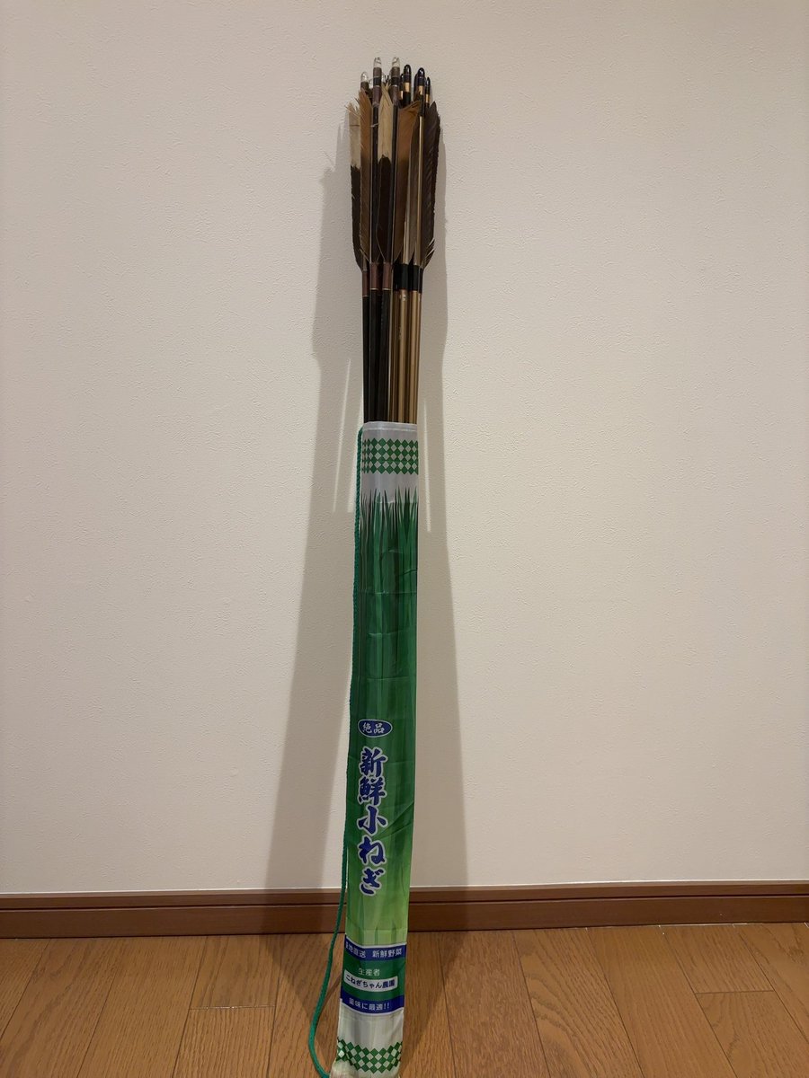 神随の弓道 神随の弓道 New adults in formal attire compete in archery at