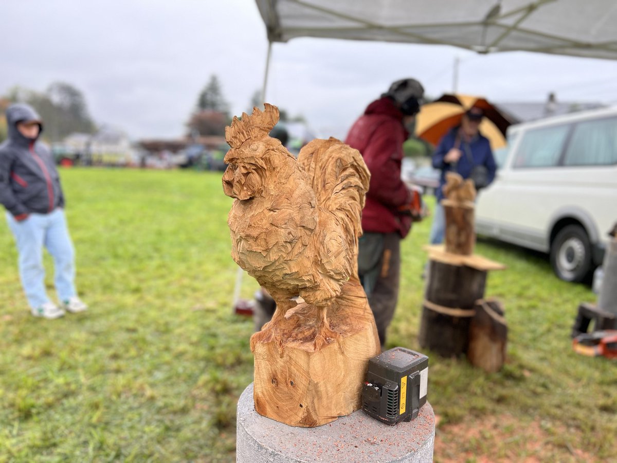 🌲🌳Belle journée à Chamoux-sur-Gelon pour "Chamoux au fil du bois" ! Démonstrations forestières, concours de bûcheronnage, artisans locaux, ambiance conviviale... Notre filière bois est vivante et nos professionnels font honneur à la #Savoie !