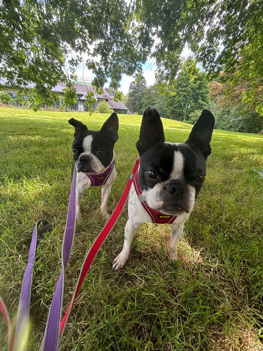 Steve Hill tweet media