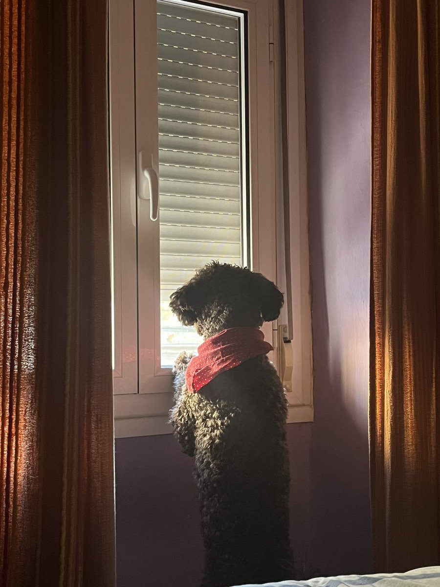 abril 🌙 tweet media