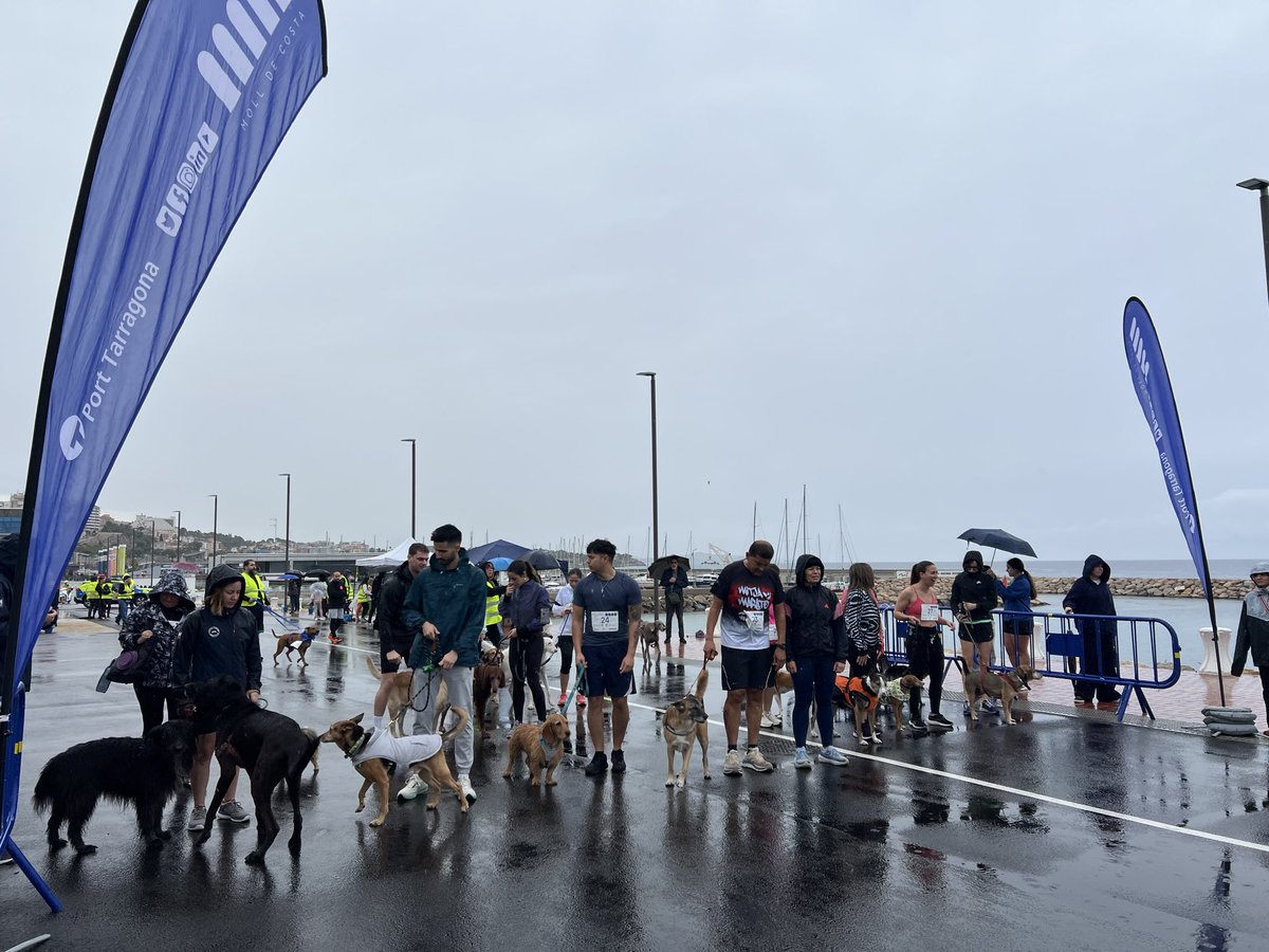 El #KM0 del <a href="/PortTarragona/">Port Tarragona</a> acull la VII edició del canicròs - marxa solidària organitzat pel club Dojo Tàrraco a favor del la Protectora Tgn.

Gràcies a totes i tots els voluntaris que ho heu fet possible.
Desitgem que tots els gossets que hi han participat siguin adoptats aviat.