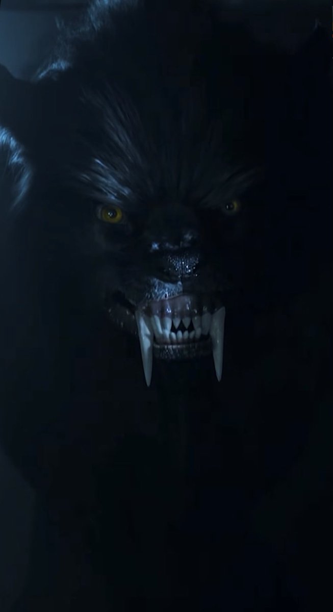 wensadms's tweet image. I love Wednesday’s wolf