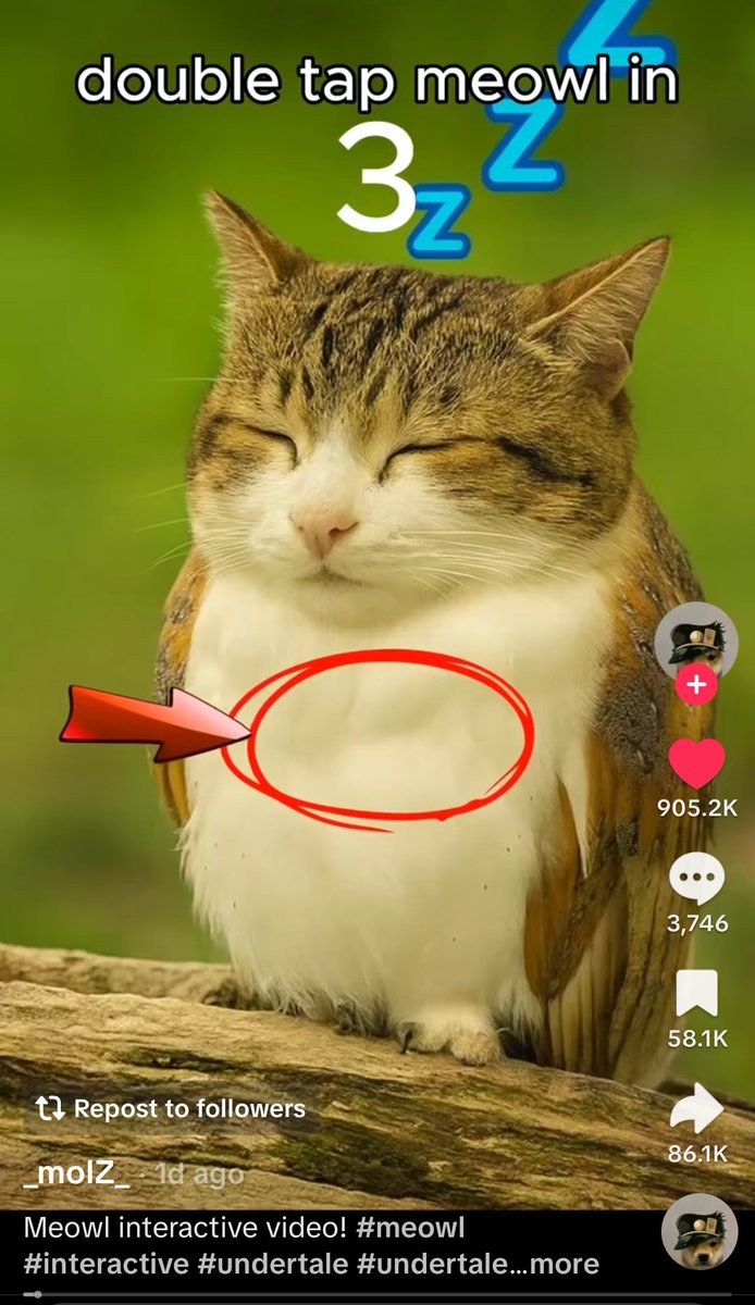 MaciekCh7's tweet image. 900k likes in 1 day?

Meowl will lead the tiktok meta. 🦉