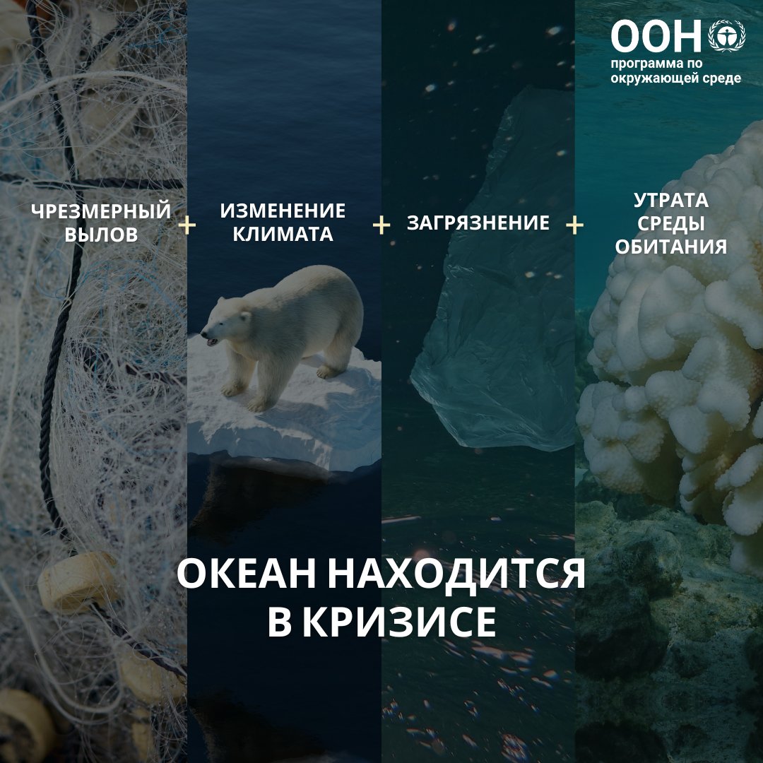Океан дает нам пищу, кислород, средства к существованию и регулирует климат.

Но ему угрожают чрезмерный вылов, #изменениеклимата, загрязнение и потеря среды обитания.

Когда наш океан в кризисе, мы тоже в кризисе.

Его защита означает защиту самой жизни.

unep.org/explore-topics…