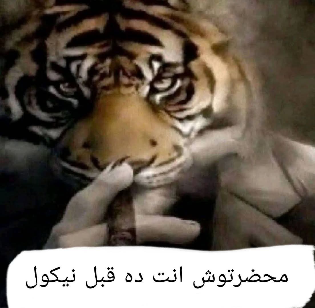 @لامين يامال