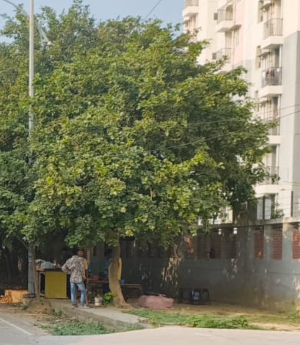 AjaySingh198523's tweet photo. @CMOfficeUP baba ke raaz mein gundo  ke waha waha ek chota chai wala vidhayak neta ke thamki dete hain goli say maarne ke dhamki deta hain  . nagar nigam mein application diye  5 din ho gya ha koi karwai nhi huwa . Abhi tak shop nhi hati . https://t.co/YfSmh3CCcn