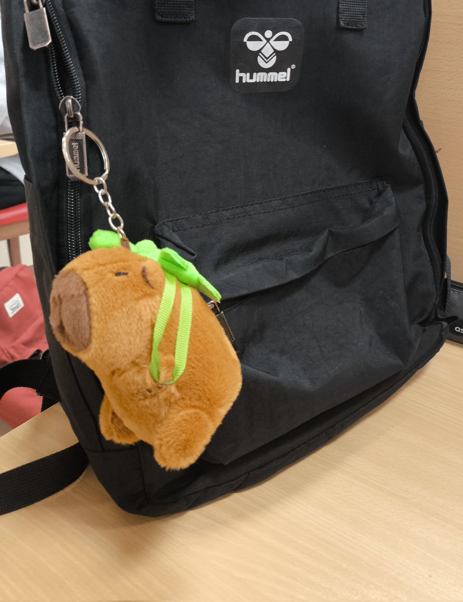 Kapibaraaaa yeşil sülüfattt ders çalışmaya gitti gördünn ?