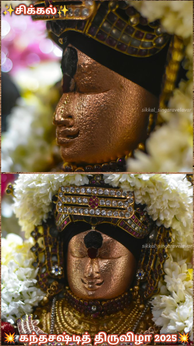 ChendurMuruga's tweet image. 🚩கந்த சஷ்டி திருவிழா 2025💥
✨️சிக்கல் சிங்காரவேலன் அன்னையிடம் வேல் வாங்கும்போது வியர்வை சிந்தும் அற்புத திருக்காட்சி✨️
#முருகாசரணம் 🐓🦚
#MurugaSaranam
#मुरुगा_चरणों
#hindu
#murugan #world_wide
#festival #sikkal
#கந்தசஷ்டிதிருவிழா2025
#kandhasastifestival2025