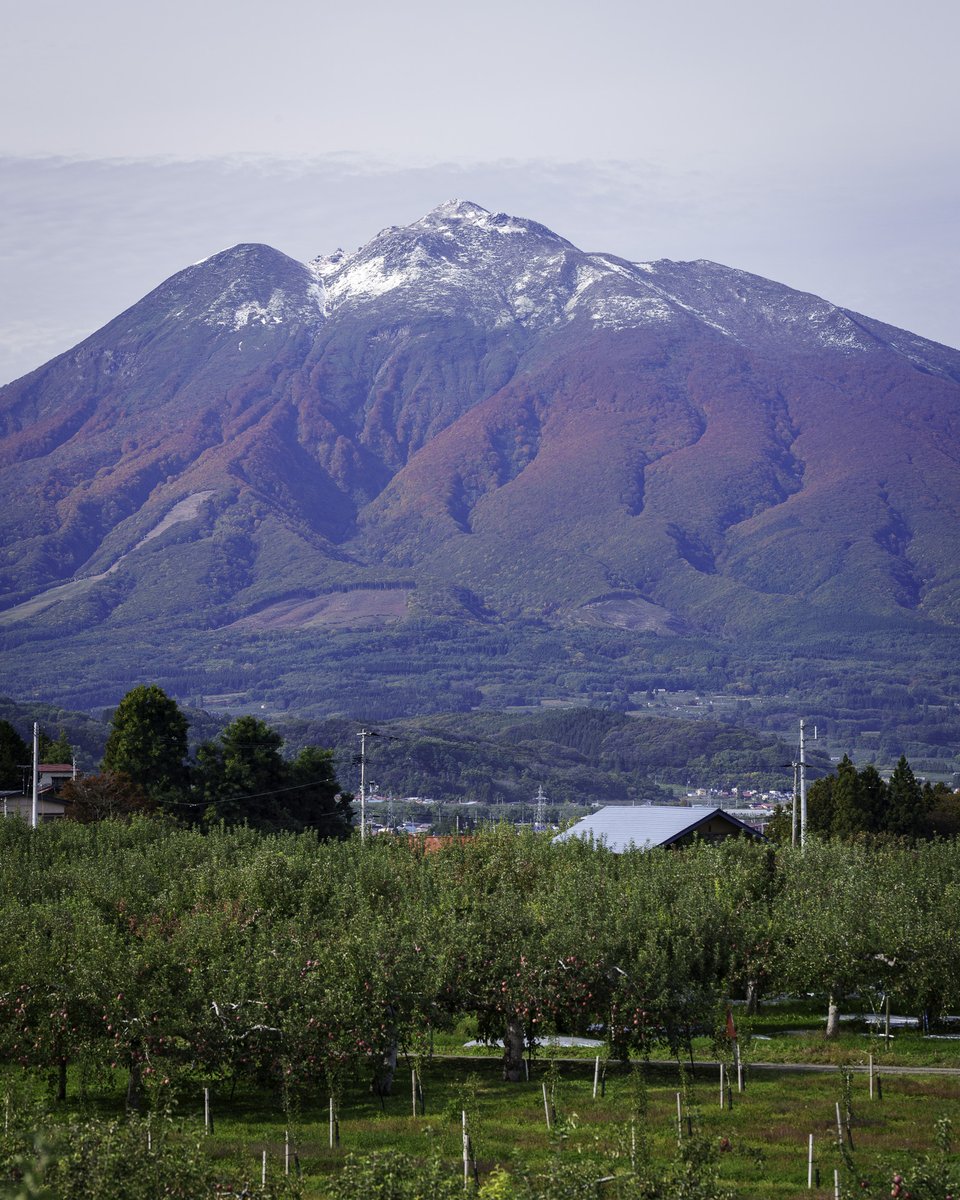 帰路 PHOTO写真集 八重洲出版 販売部 on X