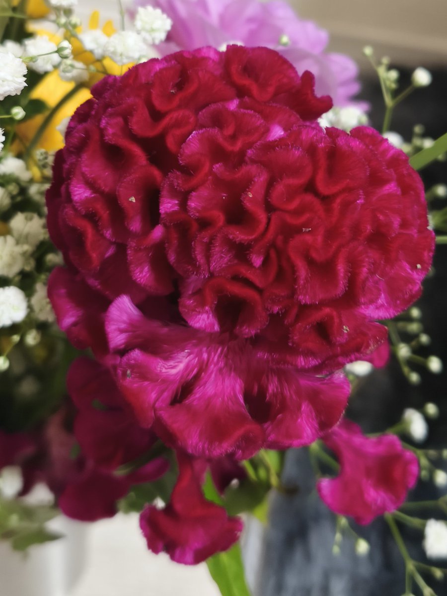 ❁KOOCHAN❁❁ ふじいちゃん on X